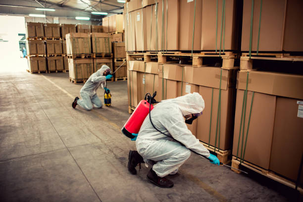 Best Flea Control Services  in Prunedale, CA