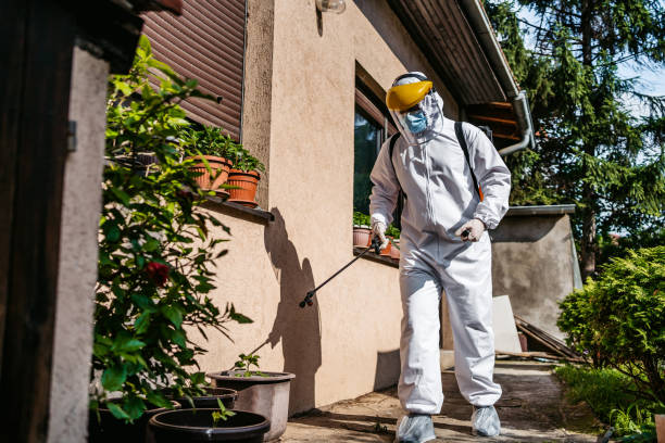 Best Bird Control  in Prunedale, CA
