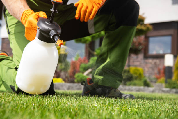 Best Bird Control  in Prunedale, CA