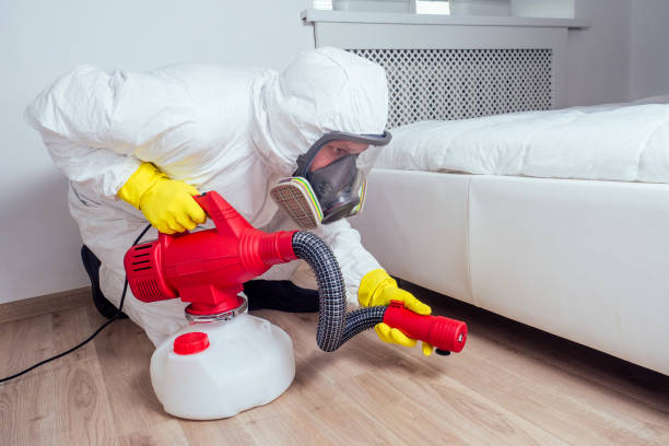 Best Affordable Pest Control Services  in Prunedale, CA