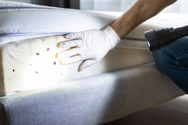 Best Bed Bug Extermination  in Prunedale, CA