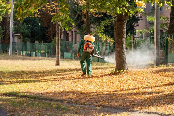 Reliable Prunedale, CA Pest Control Solutions