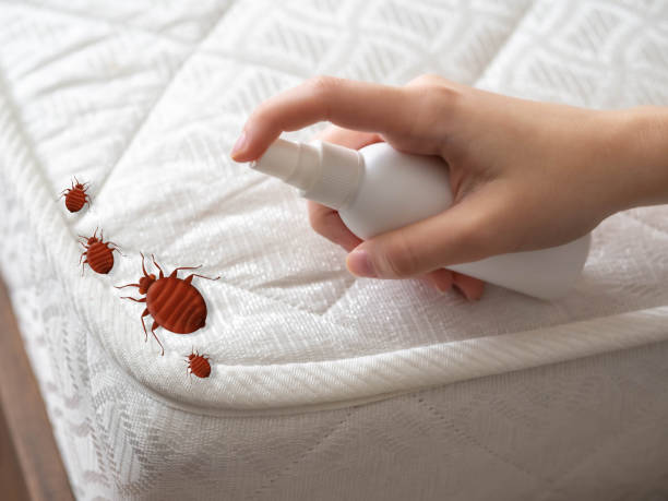 Best Pest Control Near Me  in Prunedale, CA