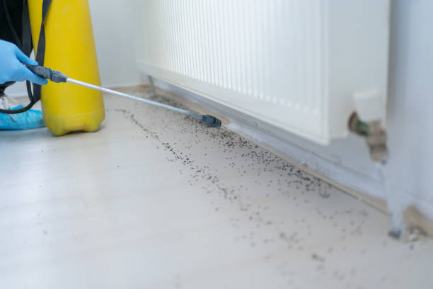 Best Affordable Pest Control Services  in Prunedale, CA