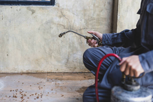 Best Pest Removal Services  in Prunedale, CA